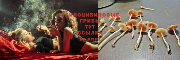 спайс Алзамай