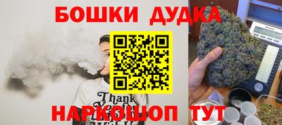 МДПВ Аша