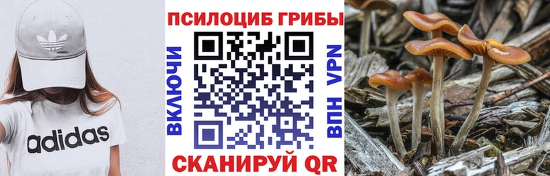 маркетплейс формула  Аргун  Галлюциногенные грибы Magic Shrooms 