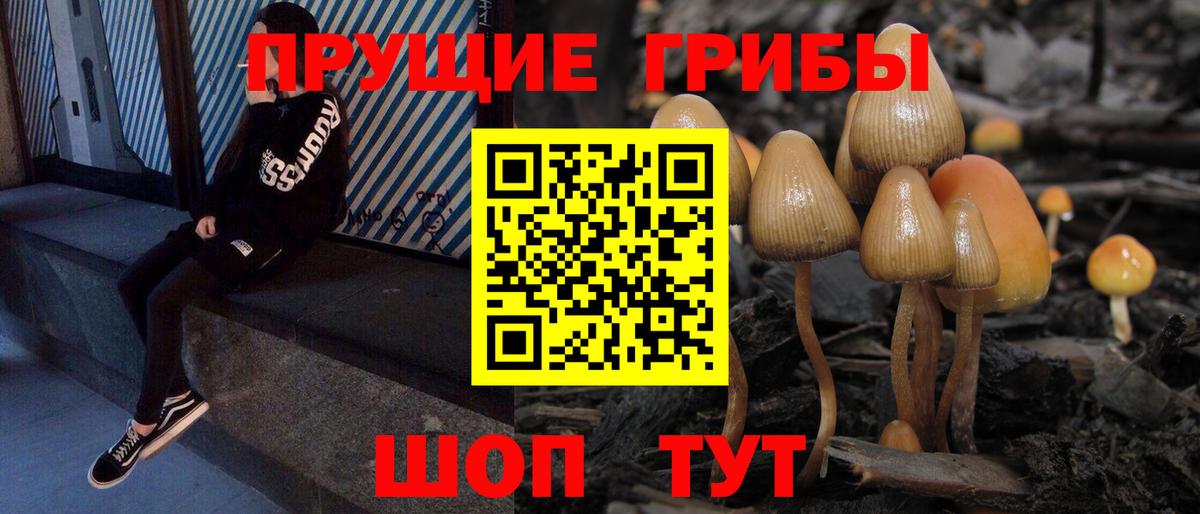Псилоцибиновые грибы мицелий Аргун