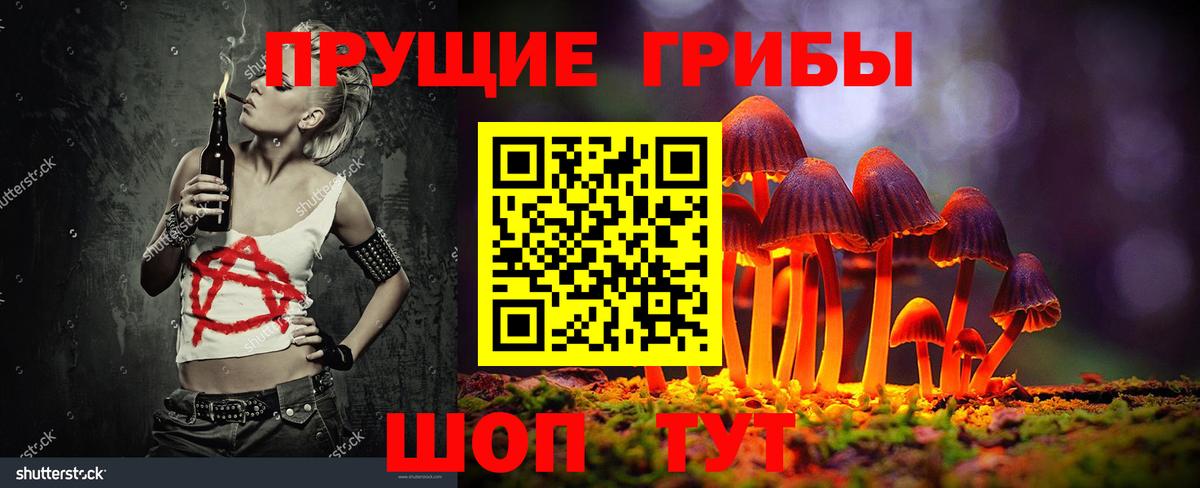 купить наркотики цена  Вход с VPN  Аргун  Псилоцибиновые грибы мухоморы  Псилоцибиновые грибы мухоморы 